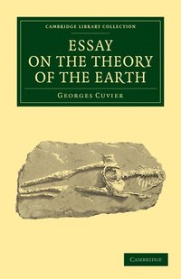 bokomslag Essay on the Theory of the Earth