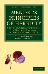 bokomslag Mendel's Principles of Heredity