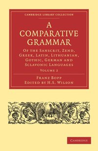 bokomslag A Comparative Grammar of the Sanscrit, Zend, Greek, Latin, Lithuanian, Gothic, German, and Sclavonic Languages