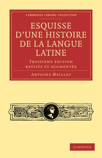 bokomslag Esquisse d'une histoire de la langue latine