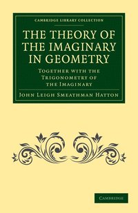 bokomslag The Theory of the Imaginary in Geometry