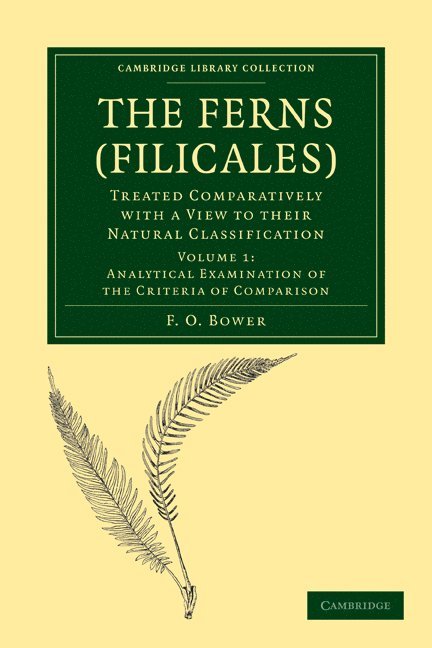 The Ferns (Filicales): Volume 1, Analytical Examination of the Criteria of Comparison 1