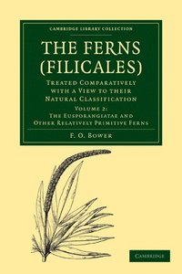 bokomslag The Ferns (Filicales): Volume 2, The Eusporangiatae and Other Relatively Primitive Ferns
