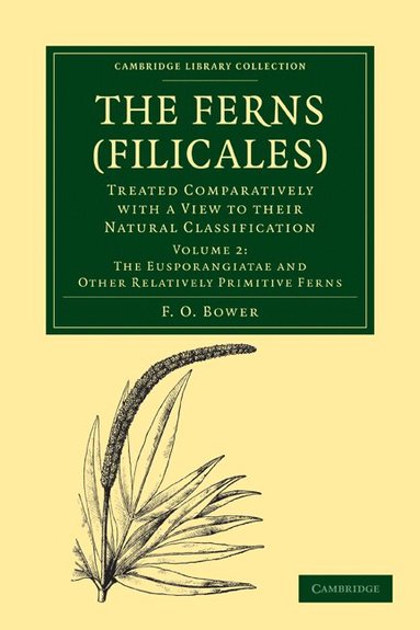 F. O. Bower - The Ferns (Filicales): Volume 2, The Eusporangiatae and Other Relatively Primitive Ferns, Häftad