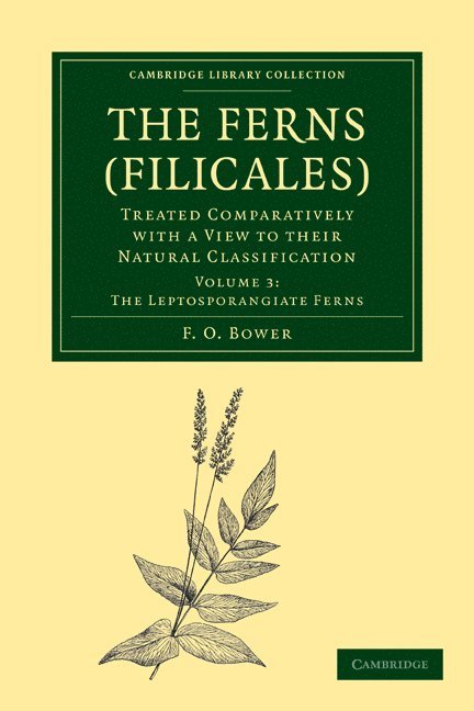 The Ferns (Filicales): Volume 3, The Leptosporangiate Ferns 1