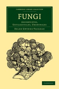 bokomslag Fungi
