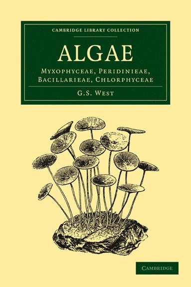 bokomslag Algae: Volume 1, Myxophyceae, Peridinieae, Bacillarieae, Chlorphyceae