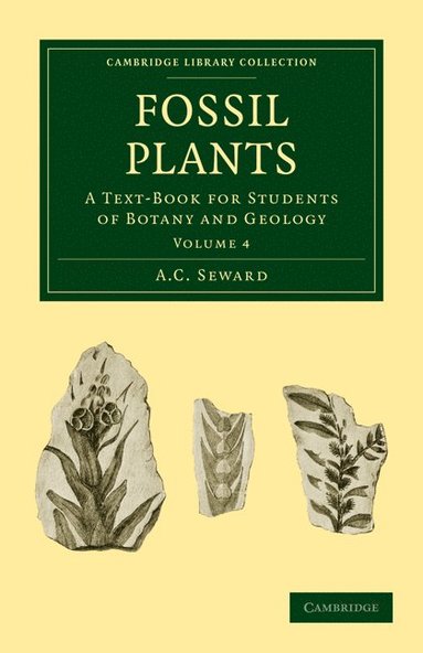 bokomslag Fossil Plants - Volume 4