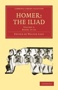 bokomslag Homer, the Iliad