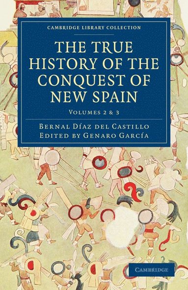 bokomslag The True History of the Conquest of New Spain