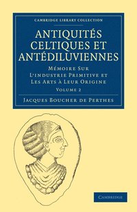 bokomslag Antiquits Celtiques et Antdiluviennes