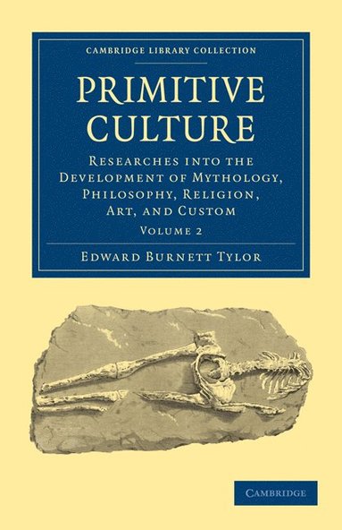 bokomslag Primitive Culture - Volume 2