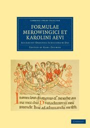 bokomslag Formulae Merowingici et Karolini Aevi