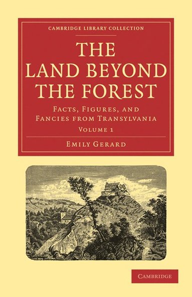 bokomslag The Land Beyond the Forest