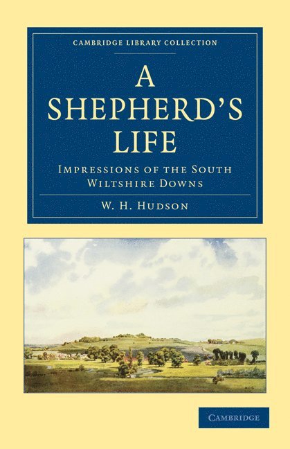 A Shepherd's Life 1