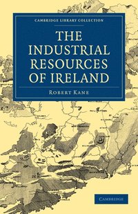 bokomslag The Industrial Resources of Ireland