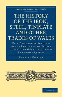 bokomslag History of the Iron, Steel, Tinplate and Other Trades of Wales