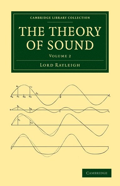 bokomslag The Theory of Sound