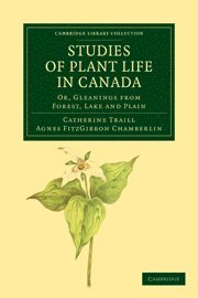 bokomslag Studies of Plant Life in Canada