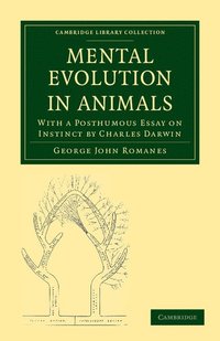 bokomslag Mental Evolution in Animals