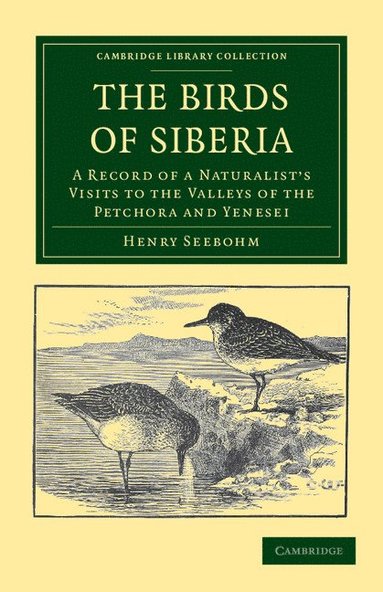 bokomslag Birds of Siberia