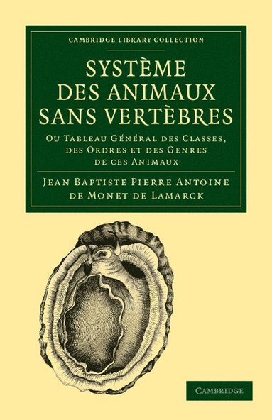 bokomslag Systme des animaux sans vertbres