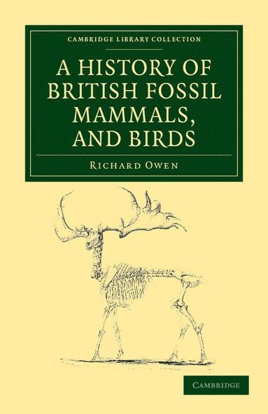 bokomslag A History of British Fossil Mammals, and Birds