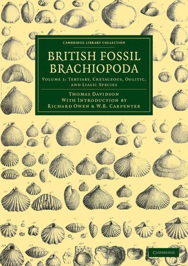 bokomslag British Fossil Brachiopoda