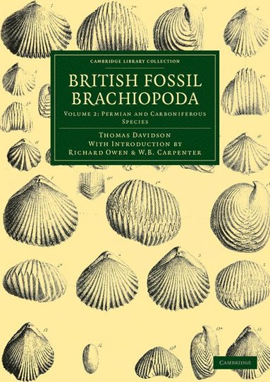 bokomslag British Fossil Brachiopoda