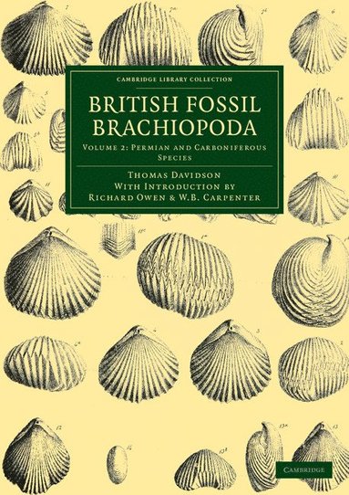 bokomslag British Fossil Brachiopoda - Volume 2