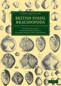 bokomslag British Fossil Brachiopoda