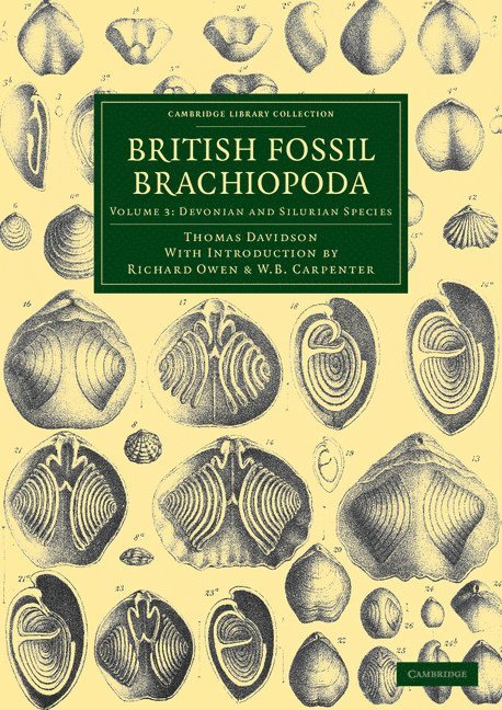 British Fossil Brachiopoda