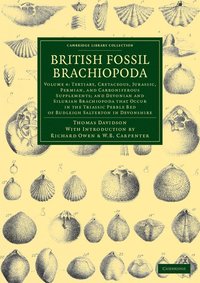 bokomslag British Fossil Brachiopoda