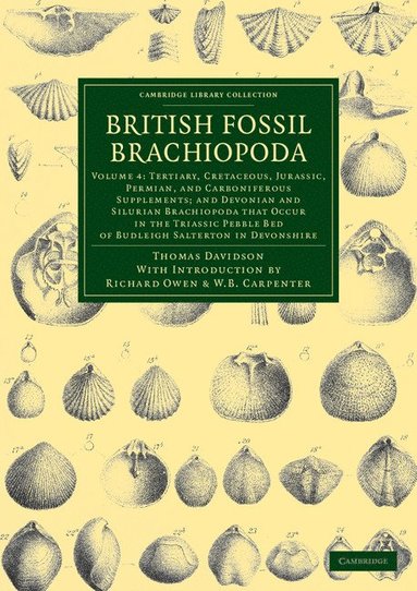 bokomslag British Fossil Brachiopoda - Volume 4