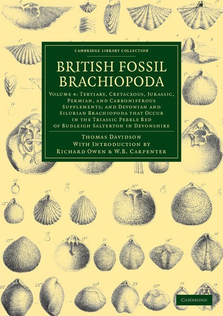 British Fossil Brachiopoda 1