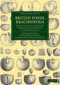 bokomslag British Fossil Brachiopoda