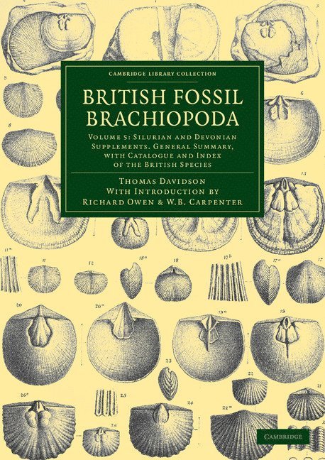 British Fossil Brachiopoda 1