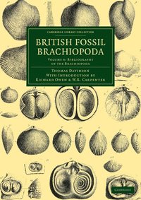 bokomslag British Fossil Brachiopoda