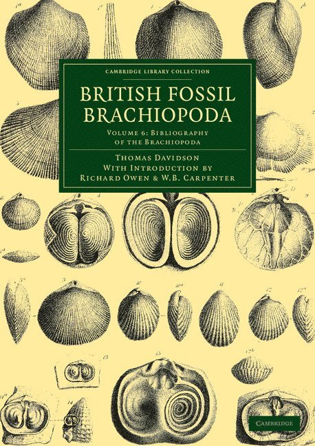 British Fossil Brachiopoda 1