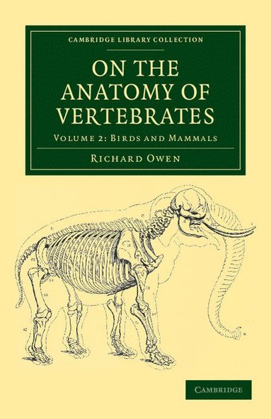 bokomslag On the Anatomy of Vertebrates