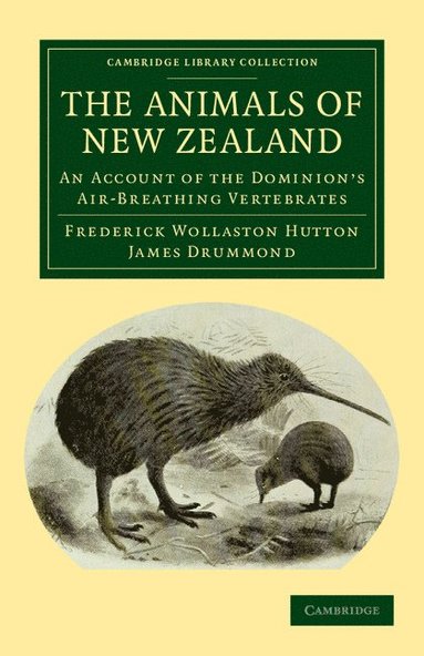 bokomslag The Animals of New Zealand