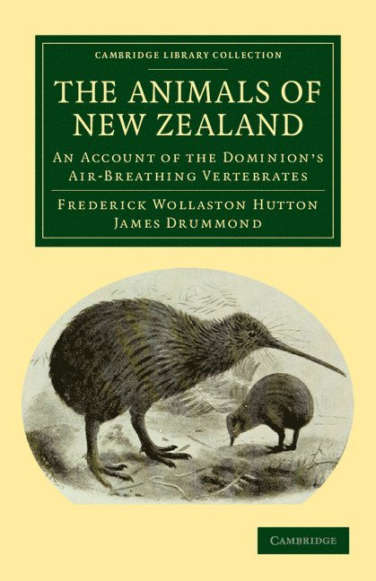 The Animals of New Zealand 1