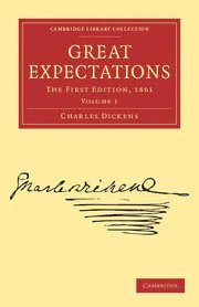 bokomslag Great Expectations