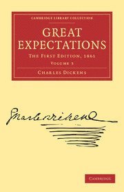 bokomslag Great Expectations