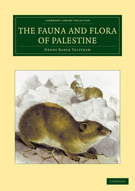 Henry Baker Tristram - The Fauna and Flora of Palestine, Häftad
