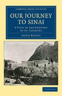 bokomslag Our Journey to Sinai
