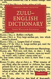 bokomslag Zulu-English Dictionary