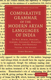 bokomslag Comparative Grammar of the Modern Aryan Languages of India