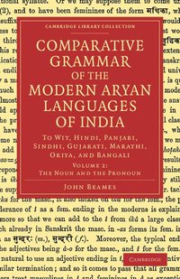 bokomslag Comparative Grammar of the Modern Aryan Languages of India