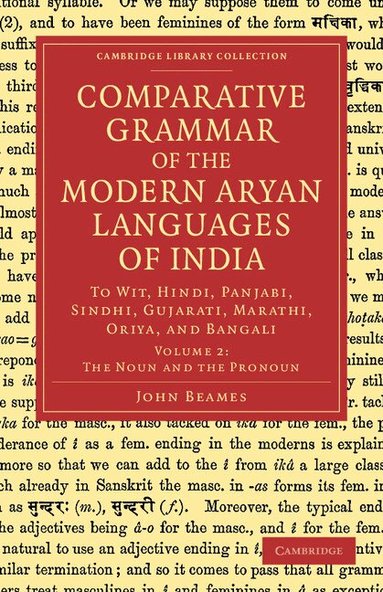 John Beames - Comparative Grammar of the Modern Aryan Languages of India, Häftad